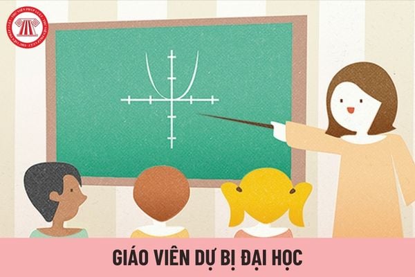 Giáo viên dự bị đại học hạng 3 hiện nay được áp dụng hệ số lương của viên chức loại nào?