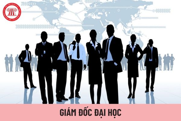 Quyền hạn của Giám đốc đại học là gì?