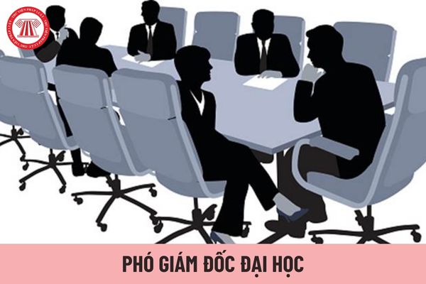 Phó Giám đốc đại học cần đáp ứng các tiêu chuẩn về trình độ, phẩm chất nào?