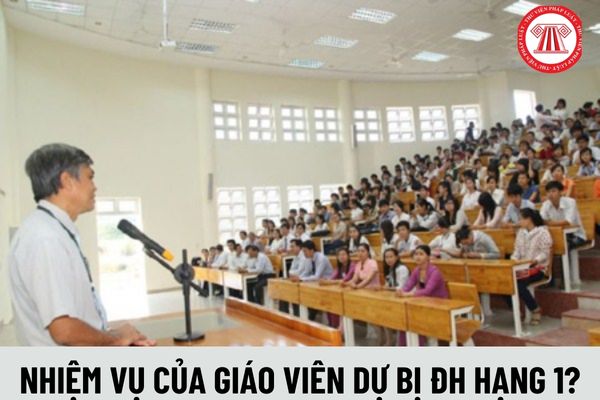  Giáo viên dự bị đại học hạng 1 có nhiệm vụ gì?