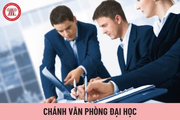 Chánh văn phòng đại học có các quyền hạn gì?