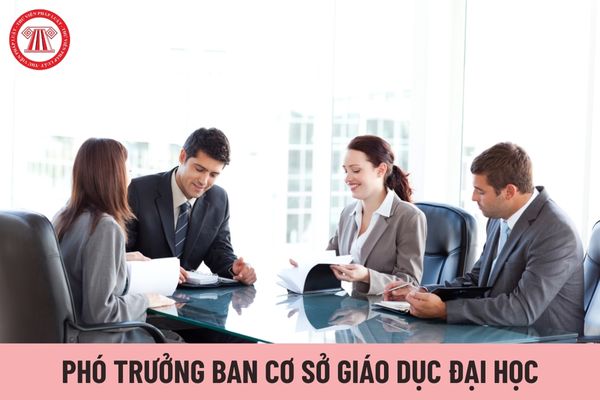 Phó trưởng ban cơ sở giáo dục đại học thực hiện các nhiệm vụ, công việc gì?