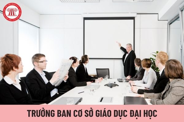 Trưởng ban cơ sở giáo dục đại học cần đáp ứng các tiêu chuẩn về trình độ, phẩm chất nào?