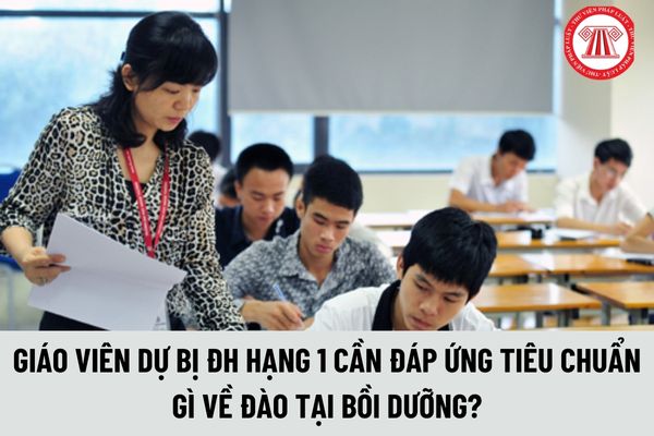 Giáo viên dự bị đại học hạng 2 cần đáp ứng tiêu chuẩn gì về đào tạo bồi dưỡng?