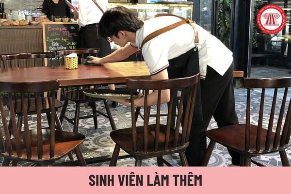 03 thiệt thòi khi sinh viên làm thêm mà không ký hợp đồng lao động là gì? Mẫu hợp đồng bán thời gian cho sinh viên làm thêm là mẫu nào?