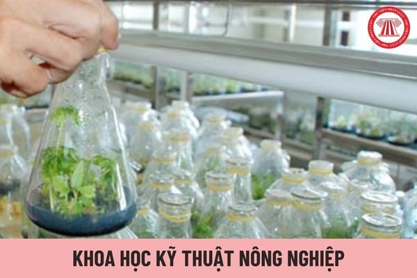 Trại trưởng trại thực nghiệm khoa học kỹ thuật nông nghiệp được nhận mức phụ cấp trách nhiệm công việc là bao nhiêu?