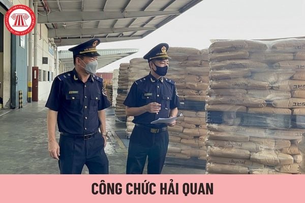 Tổng hợp mức lương 05 ngạch công chức chuyên ngành hải quan đến 1/7/2024 ra sao?