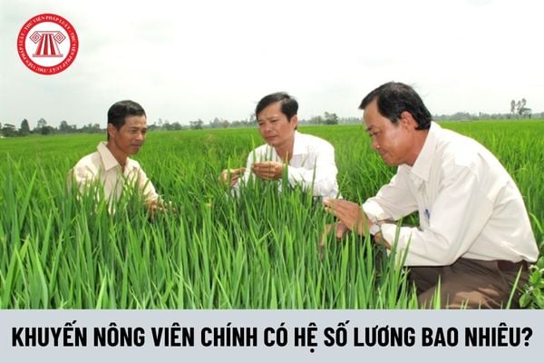 Khuyến nông viên chính có hệ số lương là bao nhiêu?