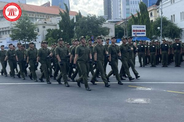 Mức hỗ trợ hằng tháng của lực lượng tham gia bảo vệ an ninh, trật tự ở cơ sở tại Thành phố Hồ Chí Minh là bao nhiêu?