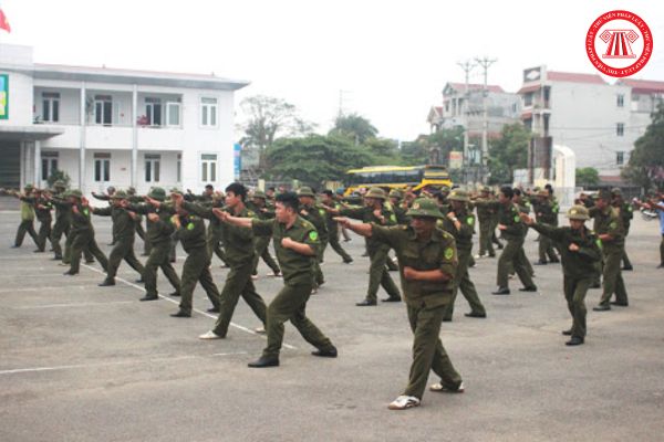 Lực lượng tham gia bảo vệ an ninh, trật tự ở cơ sở được tổ chức và hoạt động theo nguyên tắc nào?