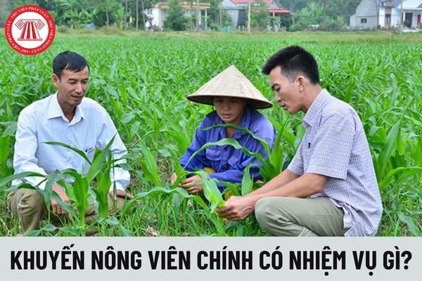 khuyến nông viên chính có nhiệm vụ gì?