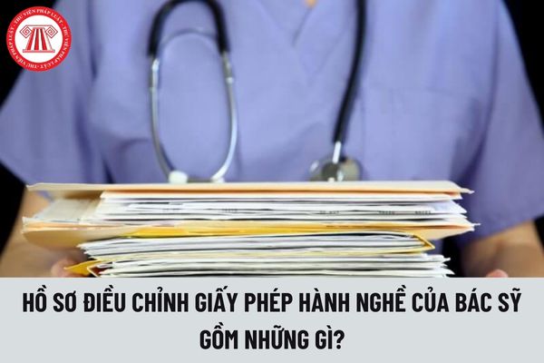 Hồ sơ xin điều chỉnh giấy phép hành nghề khám chữa bệnh của bác sỹ gồm những gì?