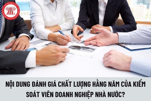 Đánh giá chất lượng hàng năm của Kiểm soát viên doanh nghiệp nhà nước gồm những nội dung gì?