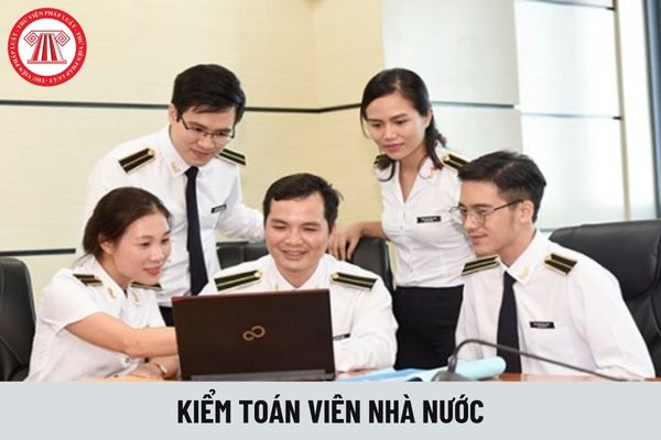 Miễn nhiệm Kiểm toán viên nhà nước trong trường hợp nào?