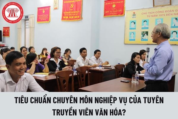 Tuyên truyền viên văn hóa cần đáp ứng các tiêu chuẩn gì về chuyên môn nghiệp vụ?