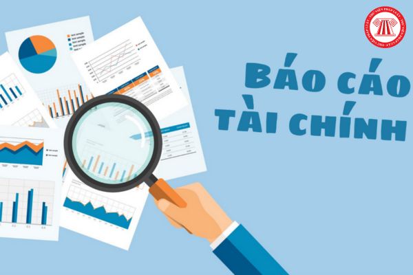 Báo cáo tài chính là gì? Tiền thưởng của người quản lý công ty TNHH MTV phải được thể hiện thành mục riêng trong báo cáo tài chính hằng năm của công ty không?