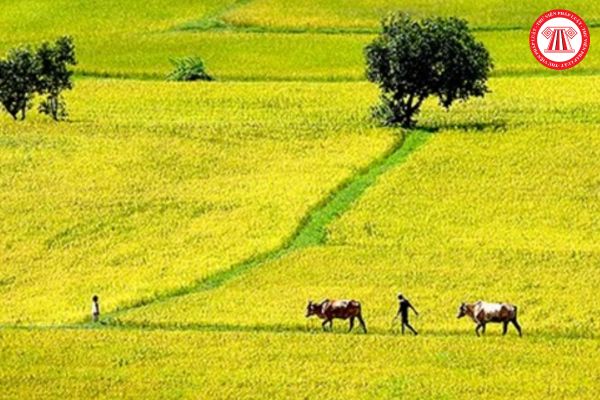 Nguyên quán là gì? Cách ghi nguyên quán trong sơ yếu lý lịch cho người lao động như thế nào?