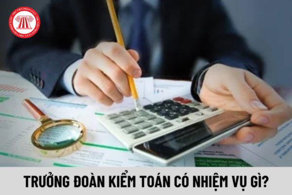 Trưởng Đoàn kiểm toán có những nhiệm vụ gì?