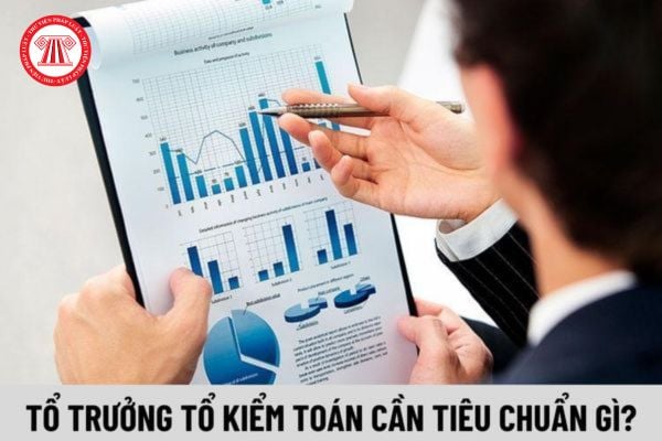 Tổ trưởng Tổ kiểm toán cần đáp ứng tiêu chuẩn gì?