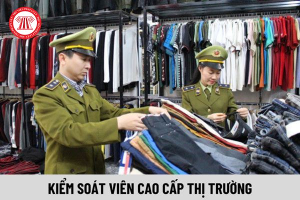 Kiểm soát viên cao cấp thị trường có nhiệm vụ gì?