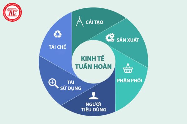 Kinh tế tuần hoàn là gì? Ví dụ về kinh tế tuần hoàn? Chuyên viên về quản lý kinh tế đối ngoại làm công việc gì?