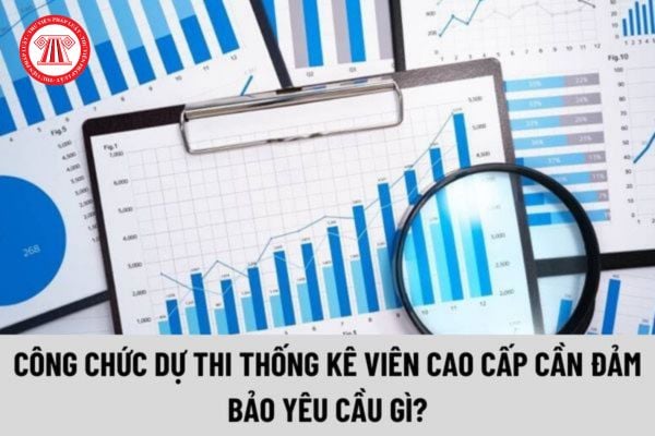 Công chức dự thi thống kê viên cao cấp cần đảm bảo yêu cầu gì?