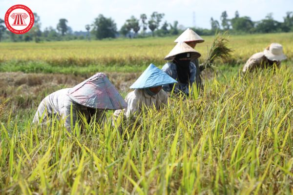 Ngày 17 tháng 10 là ngày gì? Người lao động được nghỉ làm hưởng nguyên lương ngày này không?