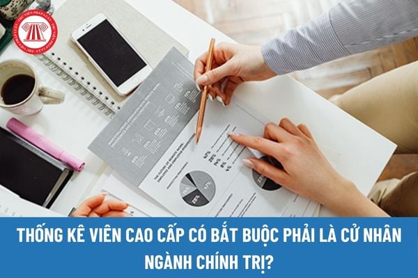 Thống kê viên cao cấp có bắt buộc phải là cử nhân ngành chính trị không?