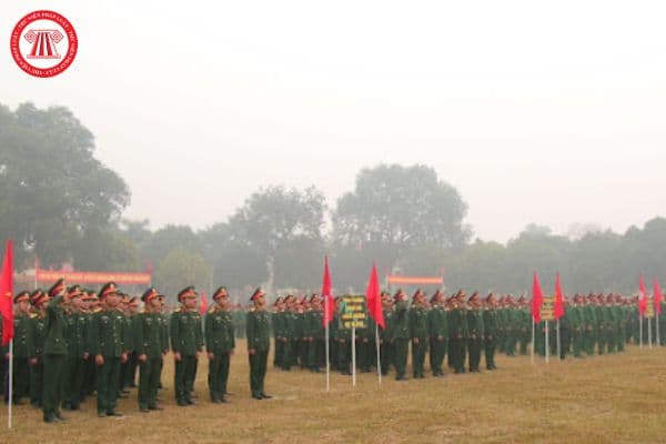 Chính thức Bảo tàng Lịch sử Quân sự Việt Nam mở cửa khi nào? Lực lượng vũ trang nhân dân Việt Nam gồm có lực lượng nào?