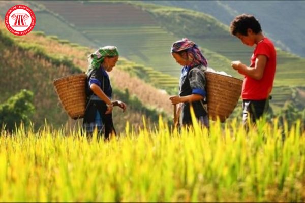 Công tác dân tộc là gì? Quản lý nguồn lao động là người dân tộc thiểu số thế nào?