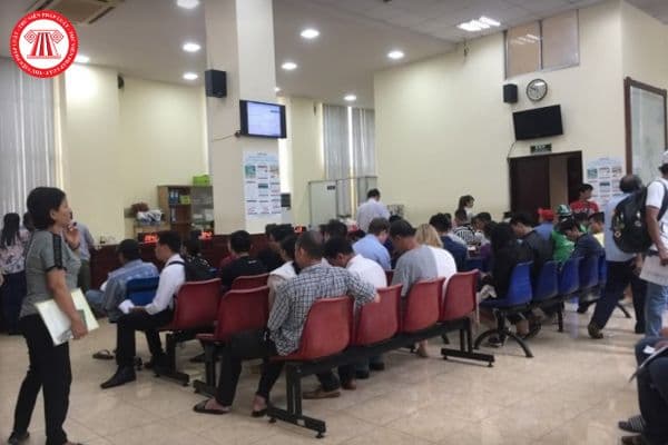 Viên chức lý lịch tư pháp hạng 3 có nhiệm vụ và tiêu chuẩn về năng lực chuyên môn nghiệp vụ thế nào?