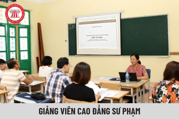 Giảng viên cao đẳng sư phạm có nhiệm vụ gì?