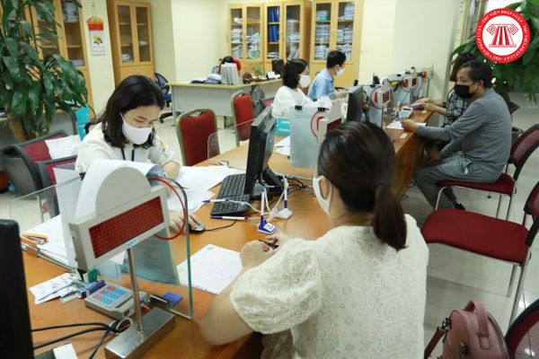 Pháp luật