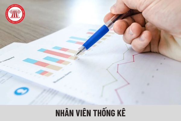 Nhân viên thống kê là ai? có nhiệm vụ gì?