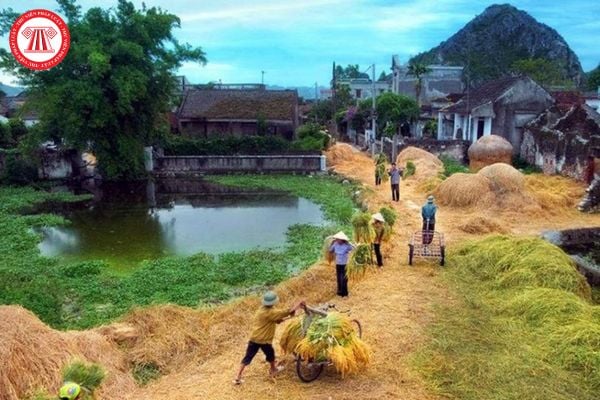 Khái niệm nông thôn là gì? Những đặc điểm cơ bản của nông thôn Việt Nam thế nào? Chuyên viên về phát triển nông thôn có nhiệm vụ gì?