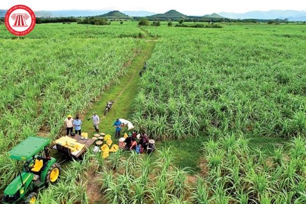 Hợp đồng công việc theo mùa vụ do người được ủy quyền ký kết phải kèm theo văn bản gì?