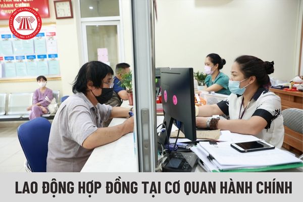 Lao động hợp đồng tại cơ quan hành chính có bao gồm công việc lái xe không?