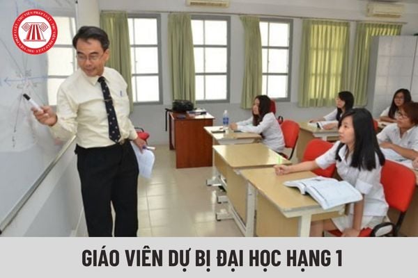 Có bằng đại học, được làm Giáo viên dự bị đại học hạng 1 không?