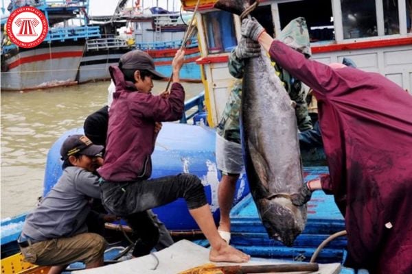 Nguyên nhân tự nhiên chủ yếu hạn chế số ngày ra khơi của ngư dân nước ta là gì?