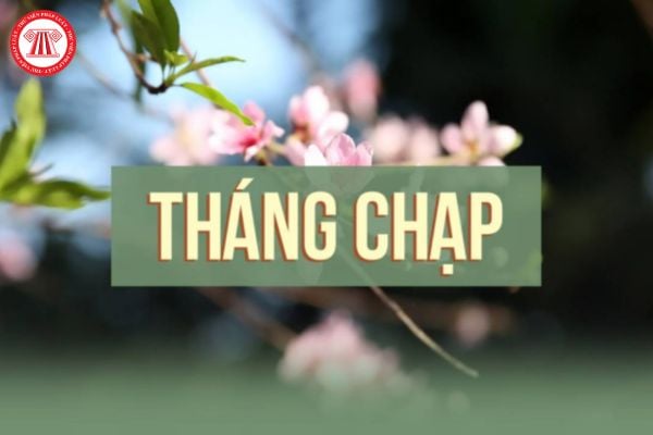 Tháng chạp là tháng mấy, tháng chạp là gì? Vì sao gọi là tháng chạp? Thời điểm trả lương cho người lao động hưởng lương theo tháng?