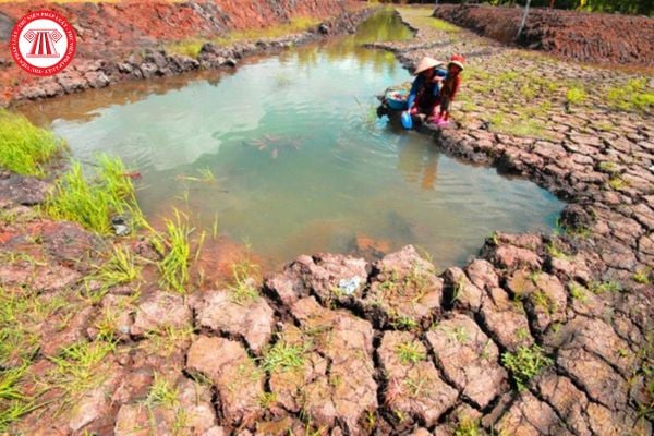 Xâm nhập mặn là gì, nguyên nhân và tác hại của xâm nhập mặn là gì?