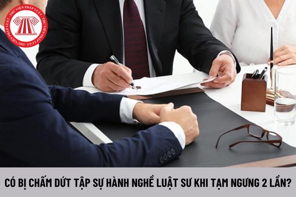 Người tập sự hành nghề luật sư tạm ngưng hai lần có bị chấm dứt tập sự không?