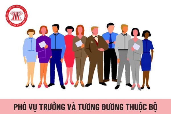 Phó Vụ trưởng và tương đương thuộc Bộ phải hoàn thiện tiêu chuẩn về lý luận chính trị và quản lý nhà nước thế nào?