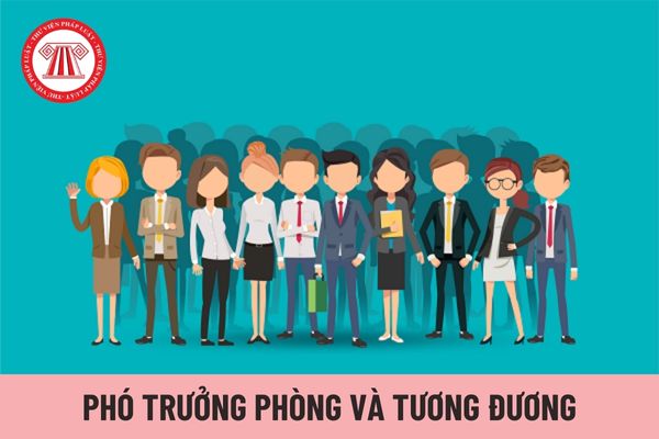 Tiêu chuẩn bổ nhiệm Phó Trưởng phòng và tương đương thuộc Chi cục thuộc Sở thế nào?