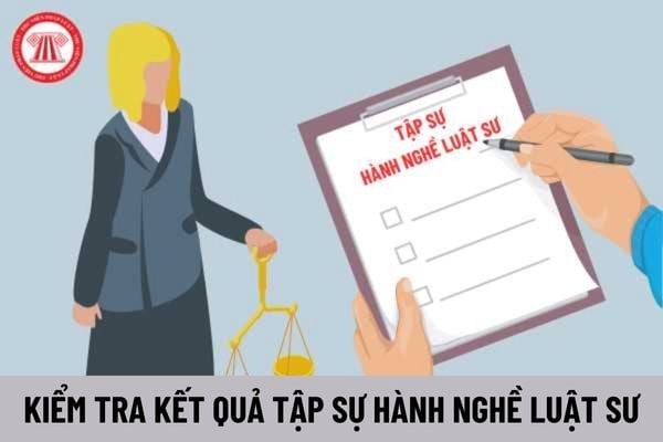 Đình chỉ kiểm tra kết quả tập sự hành nghề luật sư trong trường hợp nào nào?