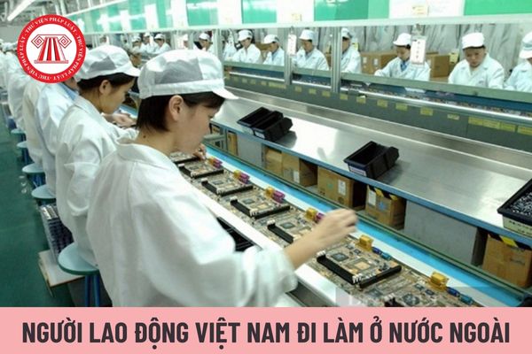 Doanh nghiệp đưa người lao động Việt Nam đi làm việc ở nước ngoài được đơn phương thanh lý hợp đồng trong trường hợp nào?