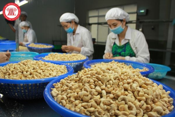 Lao động tiền lương
