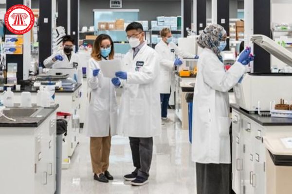 Nhà nước thực hiện cơ chế đấu thầu, đặt hàng đào tạo đối với những ngành nghề nào?