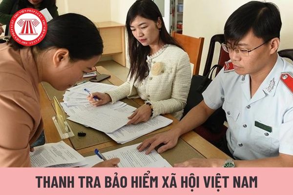 Thanh tra Bảo hiểm xã hội Việt Nam là cơ quan gì?