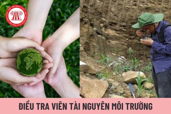 Viên chức Điều tra viên tài nguyên môi trường hạng 4 có nhiệm vụ gì?